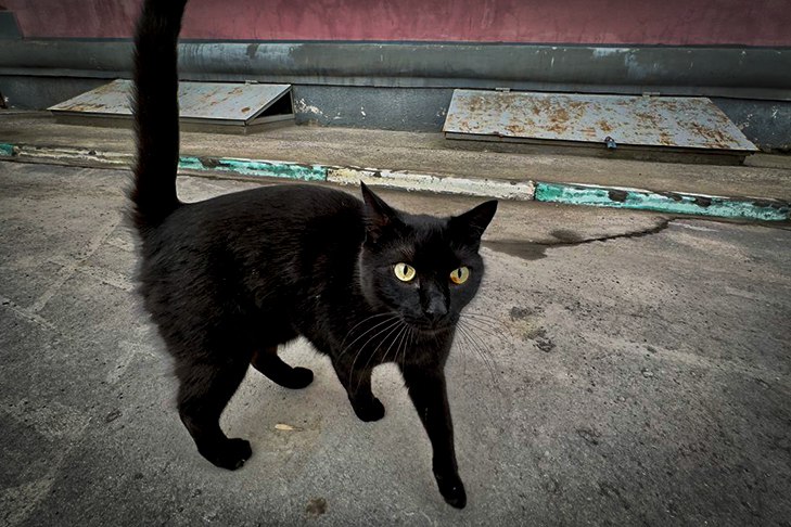 «Лишают воли человека»: о вреде суеверий рассказали священники Новосибирска