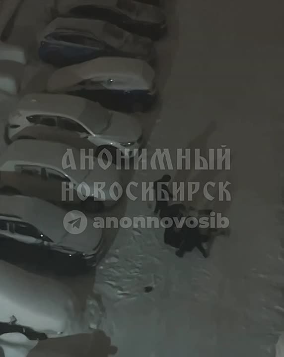 Ночью на Шевелёва, 22 в Новосибирске трое неизвестных избили мужчину