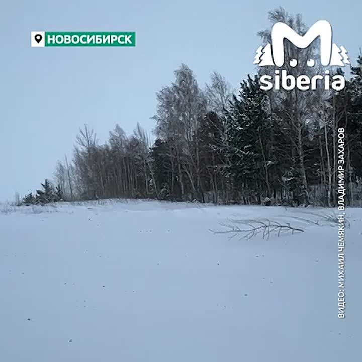 ������ ������ � �� �������� ��� ������������� ��������