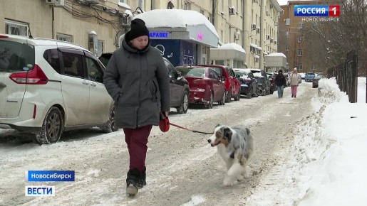 Опасный сезон. Зимой владельцам собак следует быть особенно внимательными из-за реагентов и соли, которыми обрабатывают тротуары