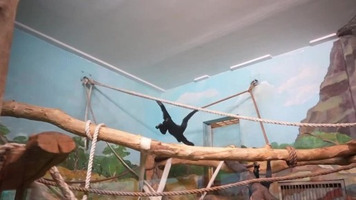 ��������� ������?. �������� �� �������������� �������� � ���� �����