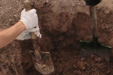 ������� ����������� � �������� ����������� ����� � ������