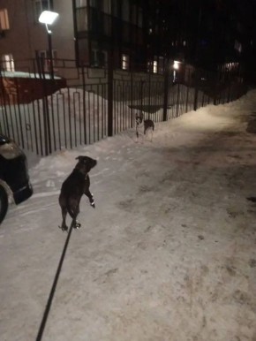 ������� ���, �������� �������, �������� � ������, ������� ��� ����� ����� � ��������