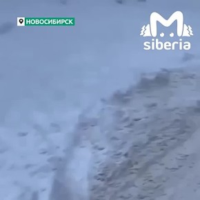 �������� ������������� ���� � ������ �� �������, "������" ��������, ������� ����� ����������