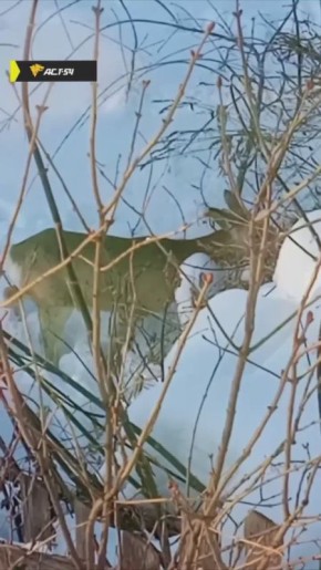 ������ ��������� � ����� � ���������� ���� ���������