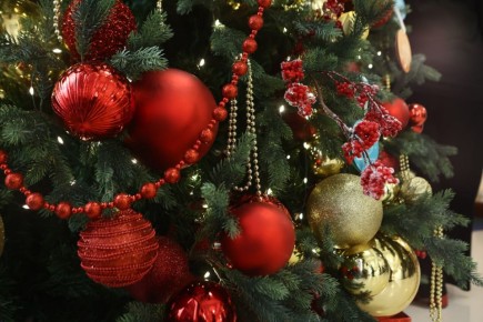 ��� ������������� ���������� ����