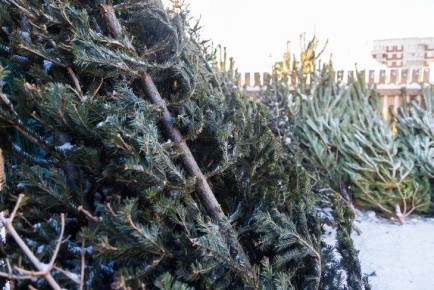 ������������ ������ ������� ������ ���������� ���� � ������������