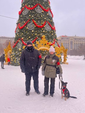 ���������� ������������ ������������ ������� � ����������� ���