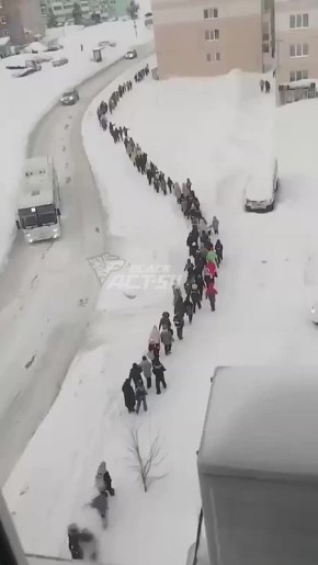 � ������������ ������������ �������� � ����������� ����� �216