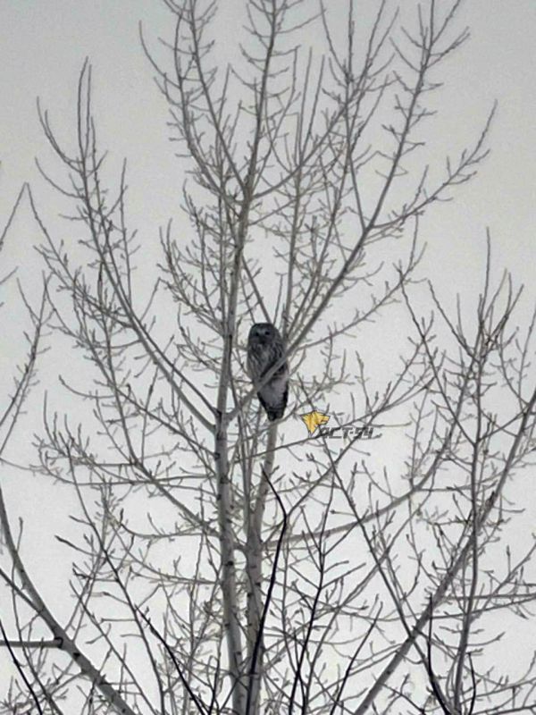 ����������� ������� ���� � ������