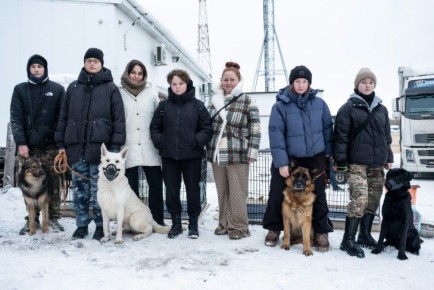 ����� �����-���������� �� ������������ ���������� �� ���