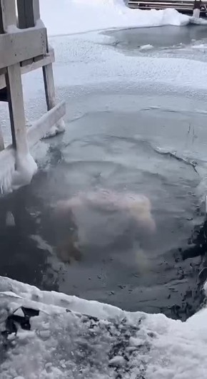 ��� �������: ���� � 20-������ ������ ���������, ��� ������ � ������