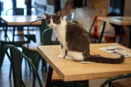 �������� ��������� � ������������ ������