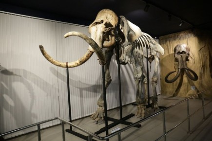 ����� ������ ������ �������� � ������������� ������� ����������� ������