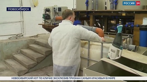 ������ ��������. ������������� ������ ������ ������������� �������� ��� ���, ����� ������ ���������� ���������� �������� ������ ����������