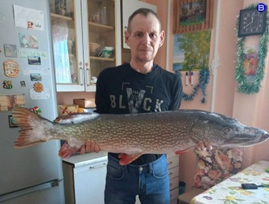 ������ �����!. ����������� ������ �� ������� ������� ���� ����� ���� ������ 11 �����������