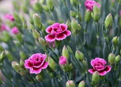 �������� ��� ������: �������� ��������� ����� ��� ������ ����