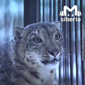 ��� ����� �� ��������� � ������� ������� ������� ��� ��������� ����, �� �������� ��� ��� � ������������� ��������