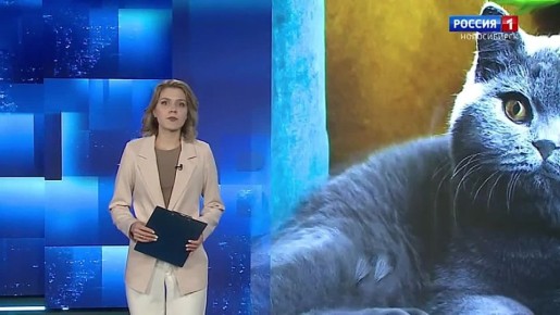 ������������ ���������. ������������� ��� �� ������ ��������� ��������� ������� ������������� ��������� �����