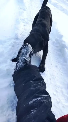 ���������� ������� �������� � ��������� ������ �� �� ����