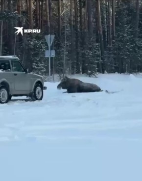 ��������, ������� ���� � ������ ������������� ���� � ������������, ������� � ����� ������