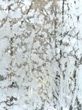 �������������: �������� �������� ��������