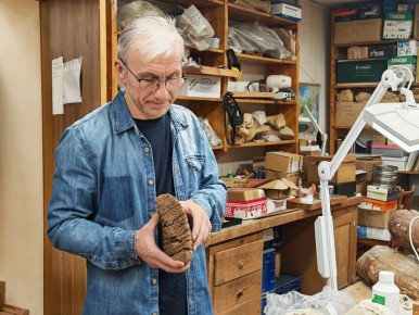 Найденные в Новосибирской области останки сибирских мамонтов помогают учёным раскрыть причину их гибели