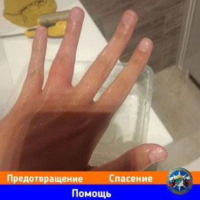 ��� ���� ������ �������� �������