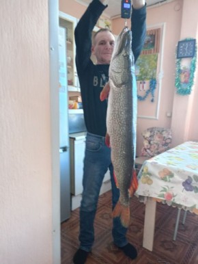 ����-��������� ������� � ���������� ����� ����� ��� �������������