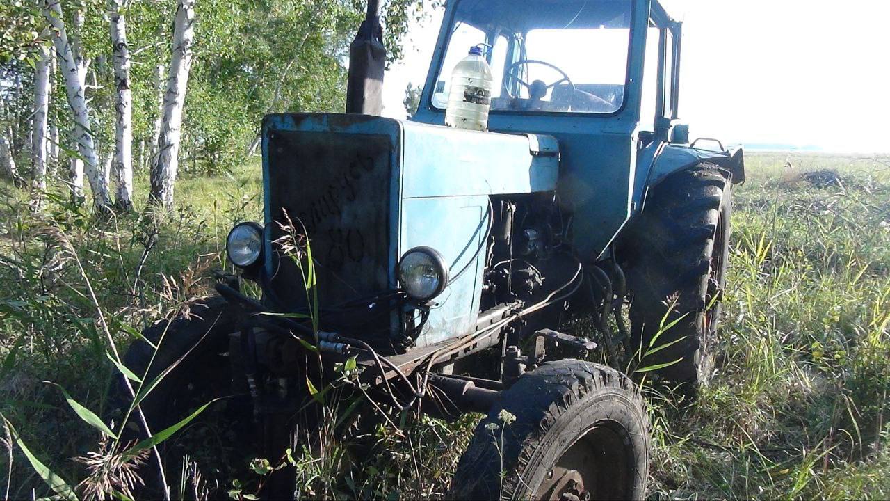 В Новосибирской области осужден мужчина за незаконную рубку березы В Новосибирской области осужден мужчина за незаконную рубку березы