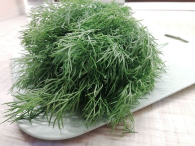 ��� � ��� ����� ������� �������� ������ ������: ������� �� �������������