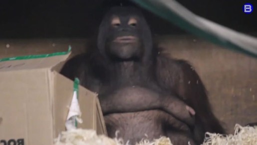 ������� ����. � ������������� �������� ��������� ������ ������ ���� ������������� ��������� ������ ��� �����: ������� ��������, ������������ ����� � ��������� �������