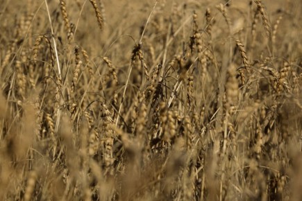 ������������� ������� �� ���������� ��������� ��� ����� ������ � �����