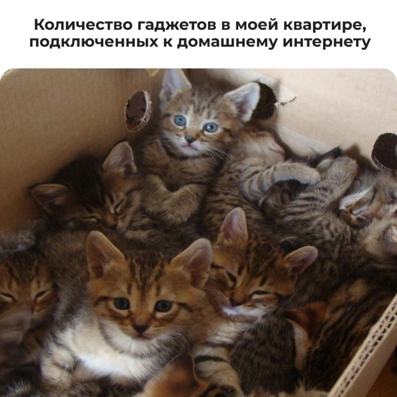 ���� �� ����������, ������� ������ ����������� � �������: ���� �����, � � ����, ���� �������� ���������� ����������, ��� �� ����������� ���� ���������