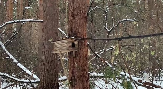 15 ������ � ���� �������� ����