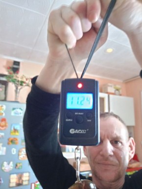 ���� ����� 11 ���� ������ ����� ��� �������������