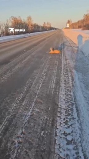 � ������������ ��������� �������� � ��������� �� ���� ����, ������� ��������� � ���� �� ������