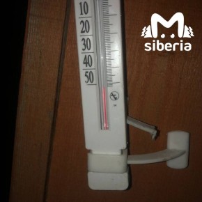 ������ ������� �� ���� ������