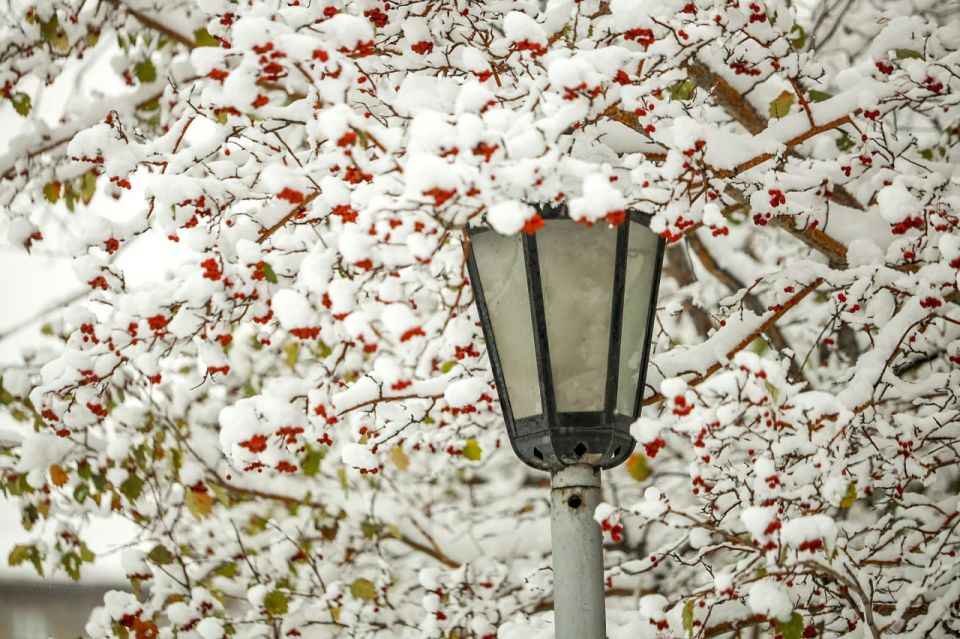 ��� ���� � ������������ ����� ��������� �� ������� � 1900 ���� � ���������