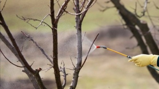 ����� ����������� ��� ������ ���������: ������ ��� �������� ������� ���������