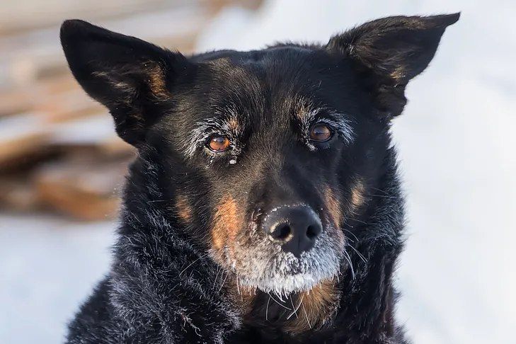 �� -50 �������� ���������� � ����� ��� ������������� �������� ��������-2026