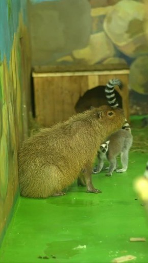 ����� ���������� ������ �� �������� � ������������� ��������