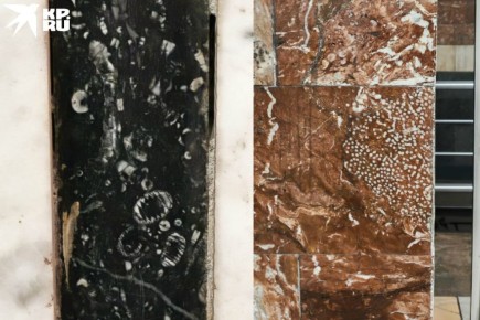 ������ ����� ������� ������������ �� �������� ����� � ������������