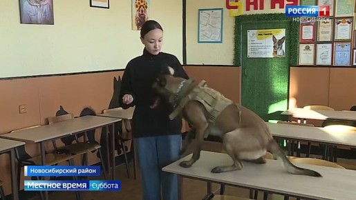 ������������ ���������. � ������������ ��������� ��������� ���������� ��������� ����� ��� ������ � ���� ���