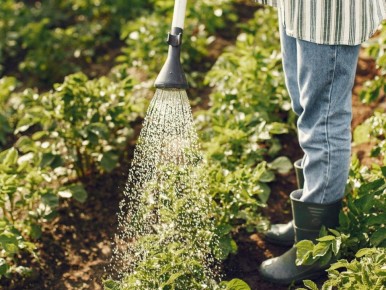 ������� ���������: ��� ��������� �������� ���� ������