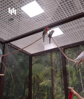 ����� ������� 1500 ����: ������ �������� ������� � �� ������������