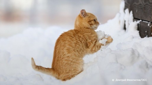 40-��������� ������ � ���� �������� ������ �������� ����������� �� -5 �C � �������� ������, �������� ���������