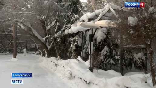 ������ �����. ���� �������� �������� � ���� ��������, ��������� ��������� �������������� �������� ������������ ����������� �������� �� ������ ���������