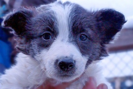 ������ �������� ������� � ������ ��� ����� ��������� ������������