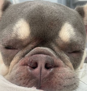 � ������������ ������������ �������� ������� ������� ������������ �������� �� �����